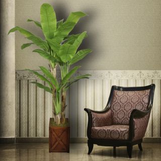 Tall Banana Tree in Planter by Laura Ashley Home