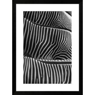 Gallery Direct Zebra Stripes by New Era Publishing Framed Paper Print