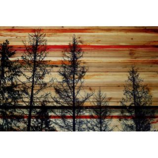 ParvezTaj Landscape & Nature Pine Forest Trees Painting Print