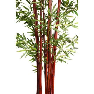 Harvest Bamboo Tree in Pot by Laura Ashley Home