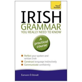 Teach Yourself Irish Grammar You Really Need to Know A Practical Course