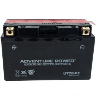 UPG Dry Charge 12 Volt 6 Ah Capacity D Terminal Battery UT7B BS