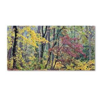 Trademark Fine Art 10 in. x 19 in. Autumn Mist Canvas Art GO0017 C1019GG