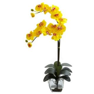 Nearly Natural Double Phalaenopsis Orchid with Vase Arrangement in Yellow 1323 YL