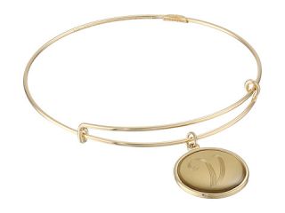 Alex And Ani Precious Initial V Bracelet