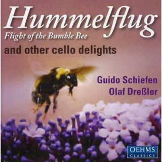 Hummelflug Flights Of The Bumble Bee