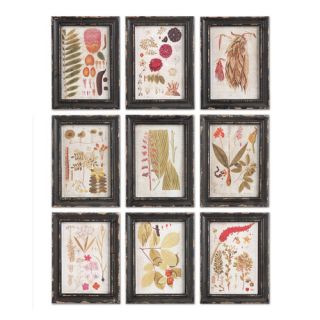 Napa Home and Garden Hotel Duvaliex Botanical 9 Piece Painting Part