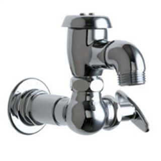 Chicago Faucets Manual Wall Mounted Service Sink Faucet with Vacuum
