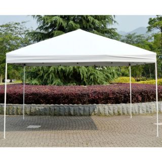 Outsunny 13 Ft. W x 13 Ft. D Canopy