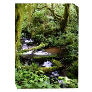 West of the Wind Forest Stream Outdoor Canvas Art   Outdoor Wall Art