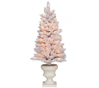 As Is Bethlehem Lights Plug In 4 Flocked Spruce Urn Tree   H207299 —