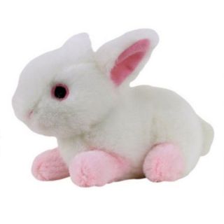 Multipet Look Whos Talking 5 inch Plush Bunny Dog Toy  