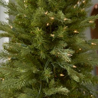 Nordic 4 Green Spruce Artificial Christmas Tree with 200 Clear Lights