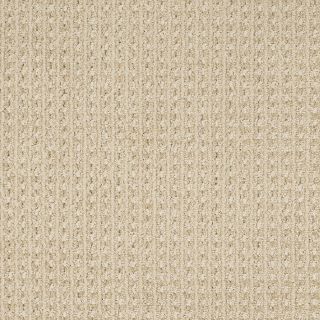 STAINMASTER TruSoft Rising Star Barely There Berber Indoor Carpet