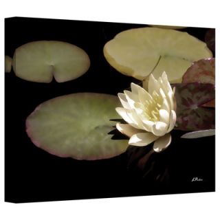 Art Wall Waterlily I by Linda Parker Photographic Print on Canvas