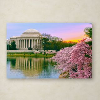 Cherry Blossoms 2014 6 by CATeyes Photographic Print Gallery Wrapped