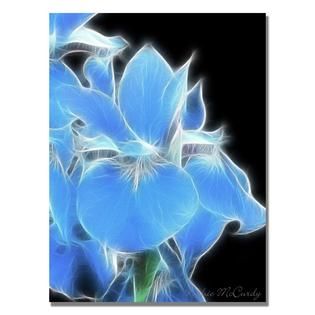 Trademark Fine Art Kathie McCurdy Big Blue Iris Canvas Art   Home