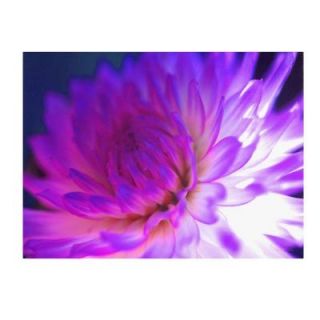 Trademark Fine Art 14 in. x 19 in. Mod Dahlia Canvas Art KY0027 C1419GG