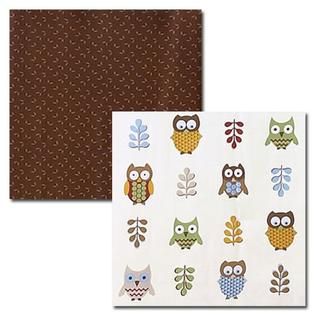 Sweet Jojo Designs  Owl Collection 9pc Crib Bedding Set
