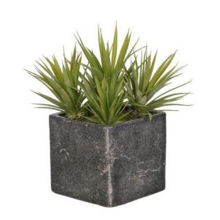 House of Silk Flowers Inc. Artificial Baby Yucca Garden Desk Top Plant in Cube Pot