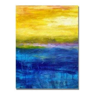 Trademark Fine Art 18 in. x 24 in. Gold and Pink Sunset Canvas Art MC113 C1824GG