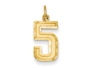 14k Yellow Gold Casted Medium D/C Number 5 Charm Pendant