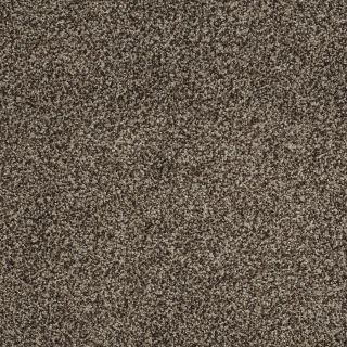 STAINMASTER TruSoft Peaceful Mood I Worn Pewter Textured Indoor Carpet