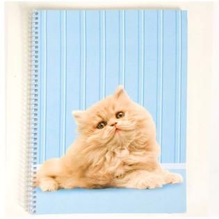 Carolina Pad & Paper Kitty Kitty 1 Subject Notebook   Office Supplies