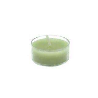 Zest Candle 1.5 in. Sage Green Tealight Candles (50 Pack) CTZ 019