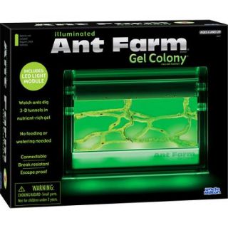 Light up Ant Farm Gel Colony