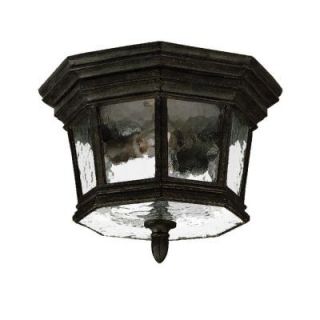 Acclaim Lighting Barrington Collection Ceiling Mount 2 Light Outdoor Black Coral Light Fixture DISCONTINUED 205BC