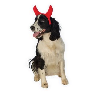 Rubies Devil Horns Pet Costume