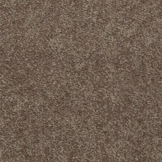 Shaw Stock Driftwood Textured Indoor Carpet