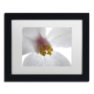 Kurt Shaffer Escargo Begonia Flower Framed Matted Art