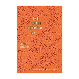 The Space Between Us (Paperback)