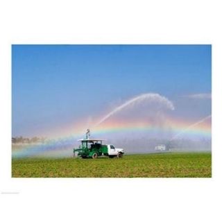 Rainbow seen under the spray from sprinkler in a vegetable field, Florida, USA Poster Print (24 x 18)
