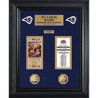 NFL Superbowl Ticket and Game Coin Collection Framed   10062604