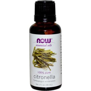 Now Foods Citronella 1 ounce Essential Oil   17557811  