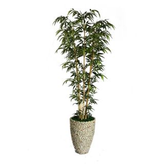 Laura Ashley 78 inch Tall Natural Bamboo Tree and 14 inch Fiberstone