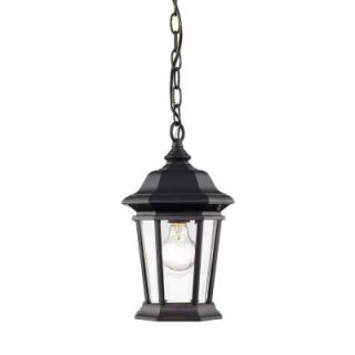 Filament Design Presley 1 Light Black Outdoor Hanging Lantern CLI JB045734