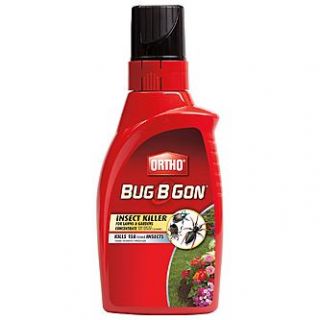 Ortho 32 oz. Bug B Gon® Insect Killer Concentrate   Outdoor Living