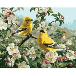 Paint By Number Kit 16X20 Goldfinches   Home   Crafts & Hobbies