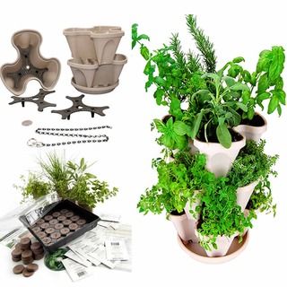 Indoor Medicinal Herb Garden Starter Kit & Self Watering Planter