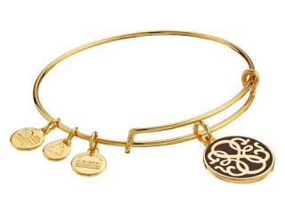 Alex and Ani Color Infusion Path of Life Expandable Bangle Gold/Cabernet