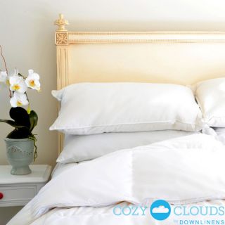 CozyClouds by DownLinens Basic White Goose Down Comforter