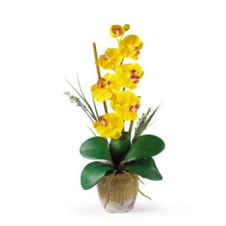 Nearly Natural 21 in. Single Stem Phalaenopsis Silk Orchid Flower Arrangement 1016 GY