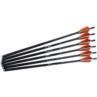 CenterPoint Crossbow 20" Carbon Express Arrows