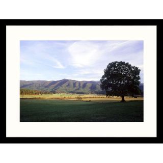 Great American Picture Landscapes Cades Cove Great Smokey Mountain