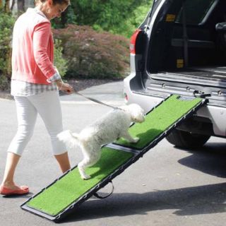 Gen7Pets Natural Step Ramp, Green