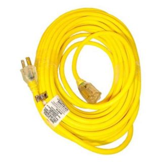 Snow Joe 50' Outdoor Extension Cord